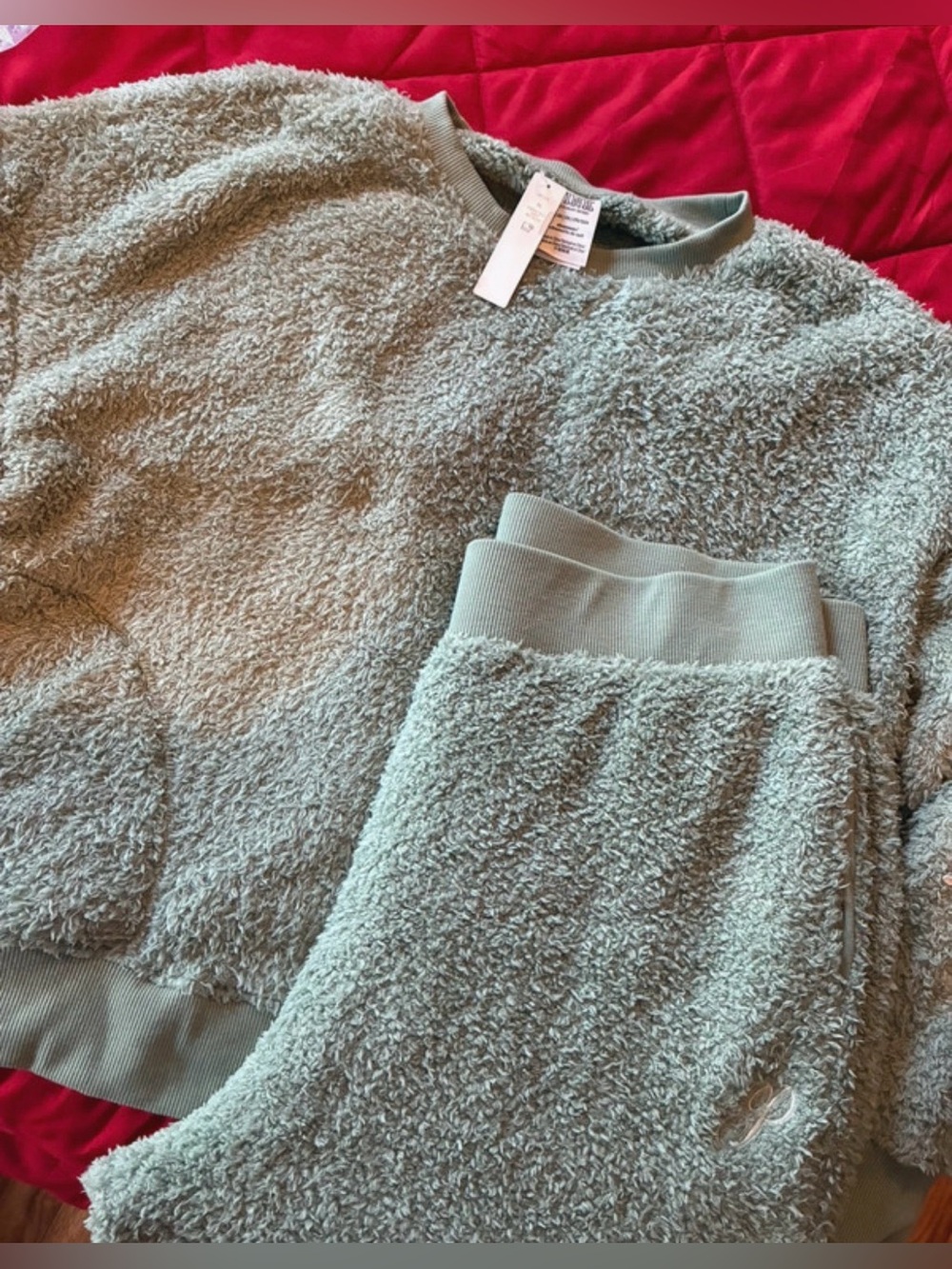 Victoria's Secret Plush Crew Pullover in Sage Green Top and pants set